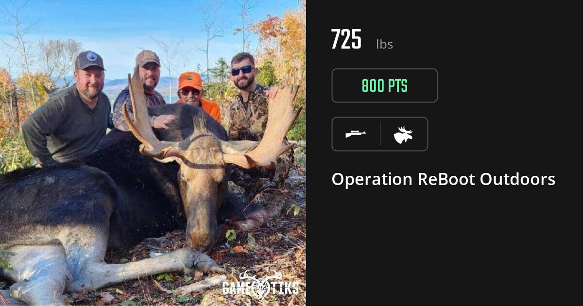 Moose harvest on Gametiks