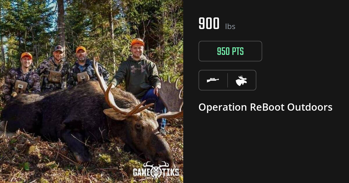 Moose harvest on Gametiks