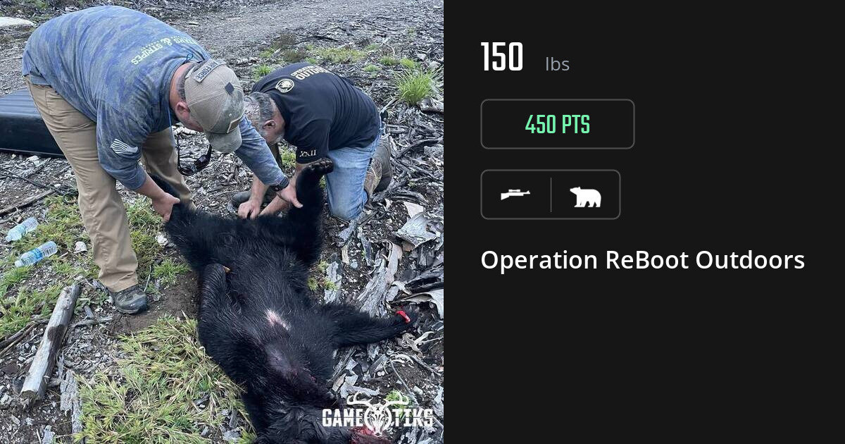 Bear harvest on Gametiks