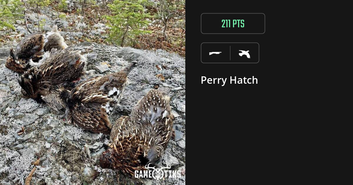 Upland bird harvest on Gametiks