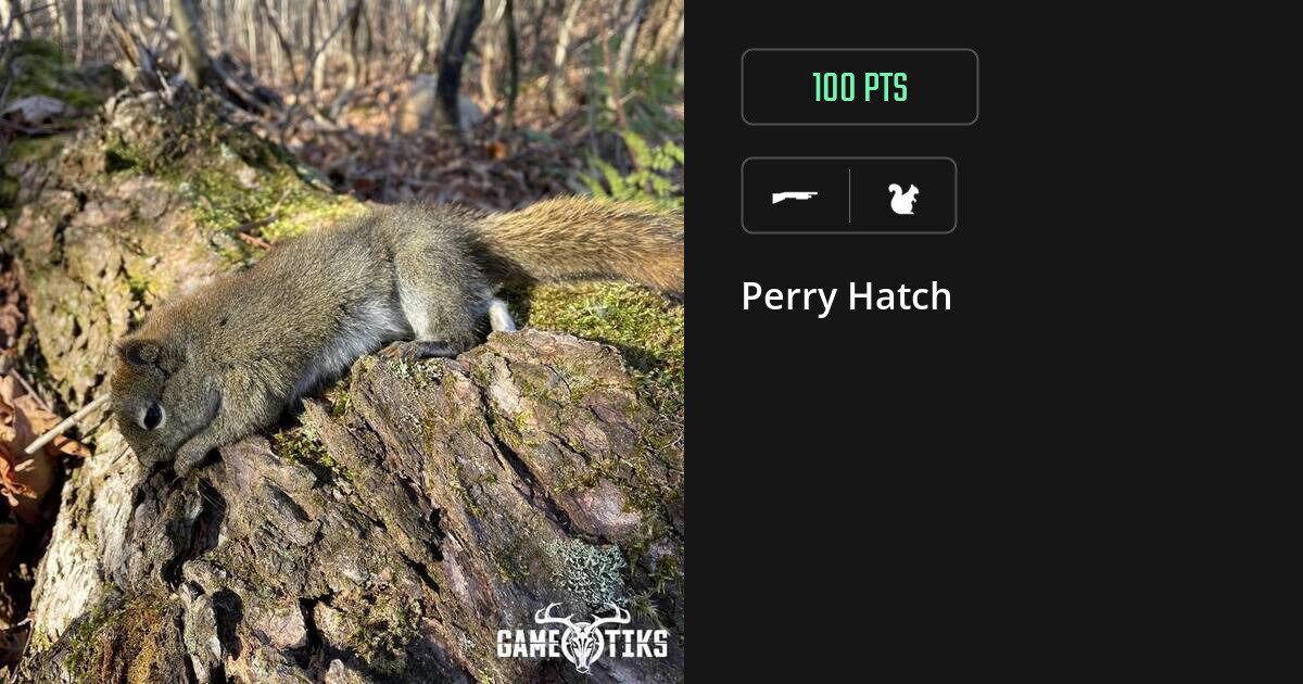 squirrel harvest by Perry Hatch