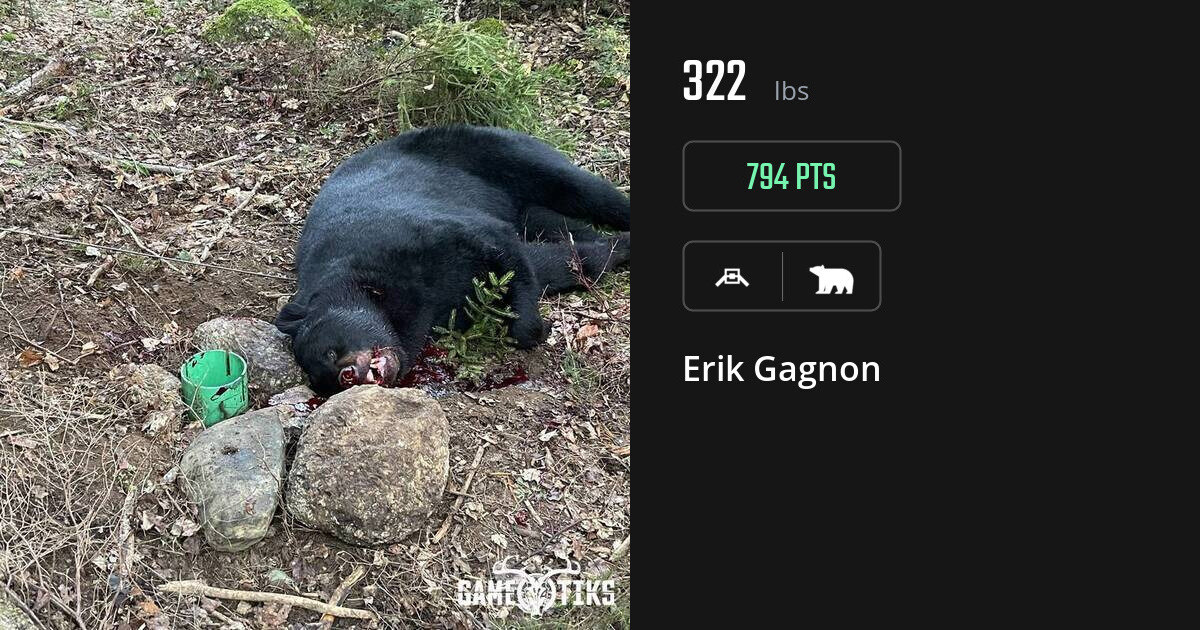 Bear harvest on Gametiks