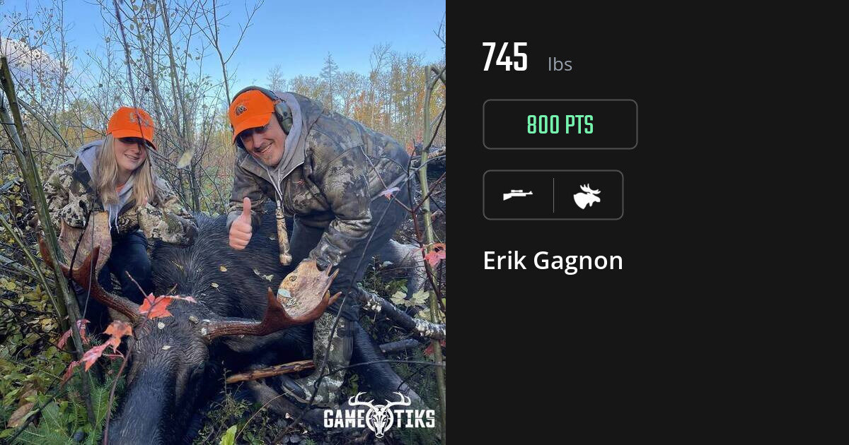 Moose harvest on Gametiks