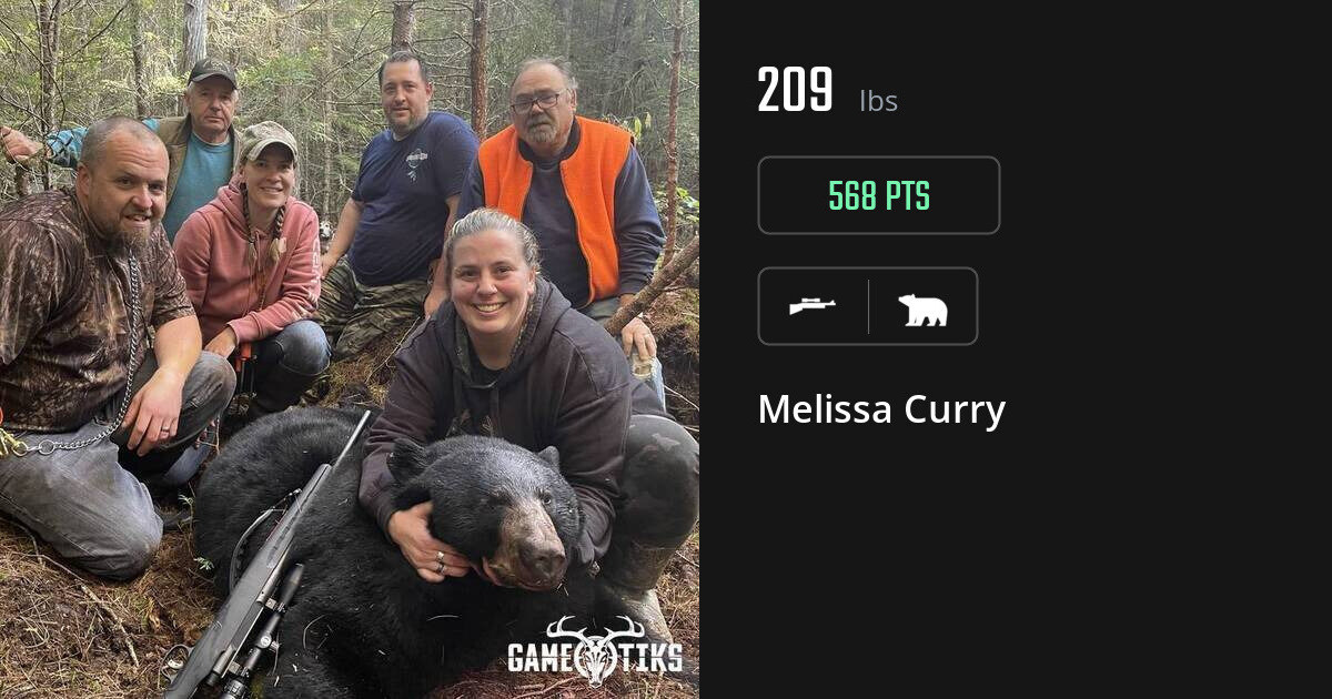 bear harvest by Melissa Curry