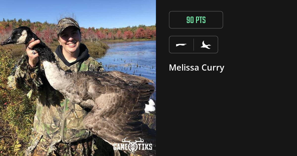 waterfowl harvest by Melissa Curry