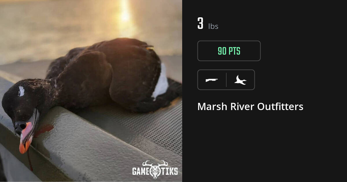 Waterfowl harvest on Gametiks