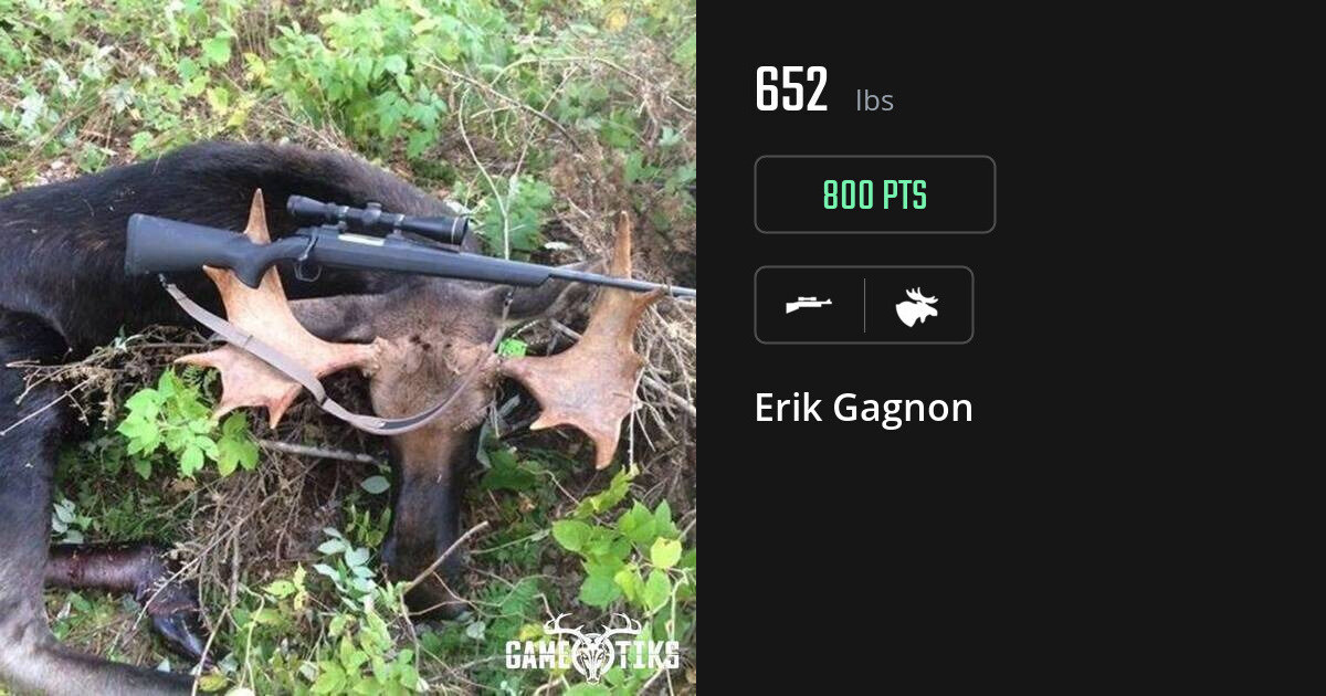 moose harvest by Erik Gagnon