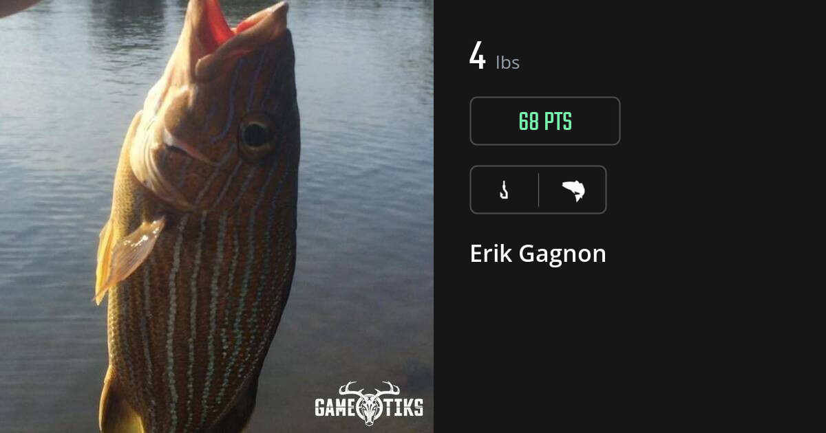 saltwater_fish harvest by Erik Gagnon