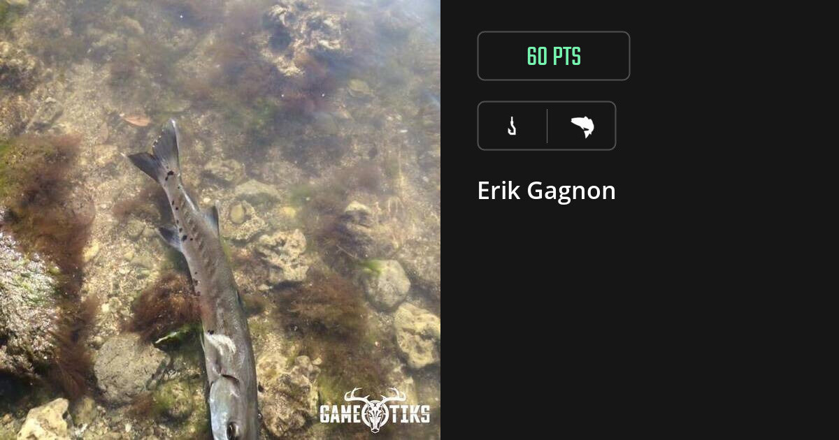 saltwater_fish harvest by Erik Gagnon