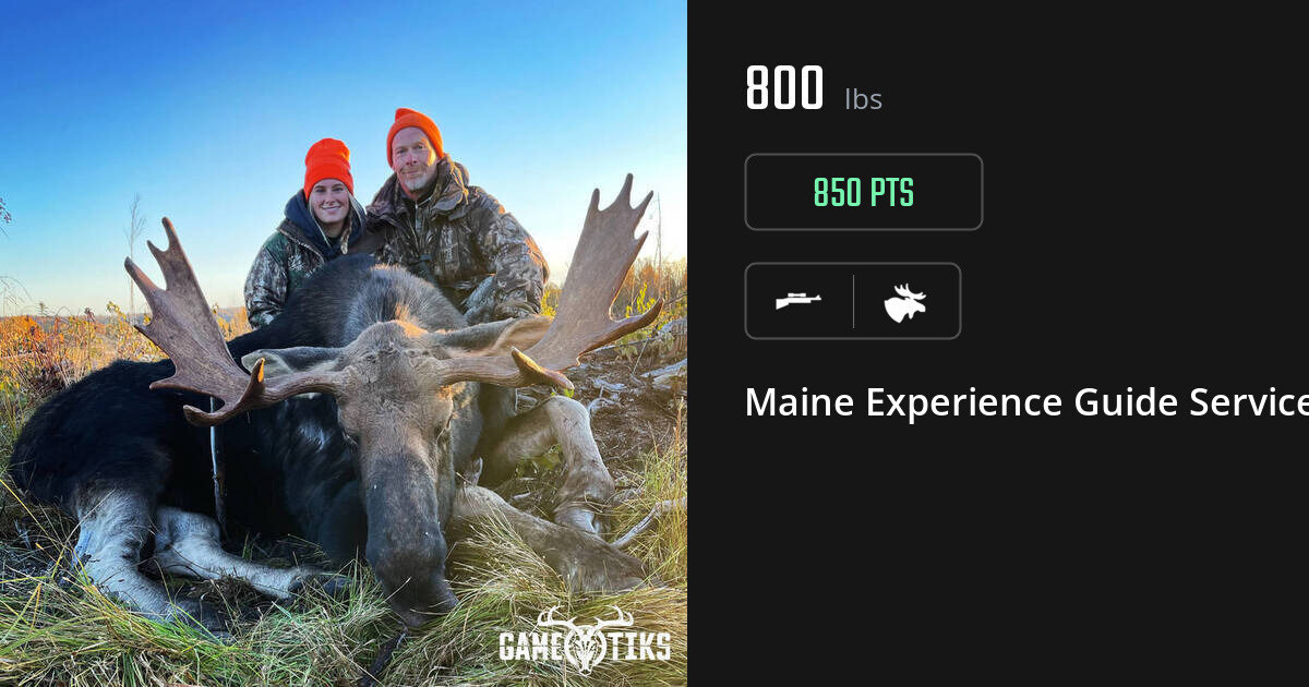 Moose harvest on Gametiks