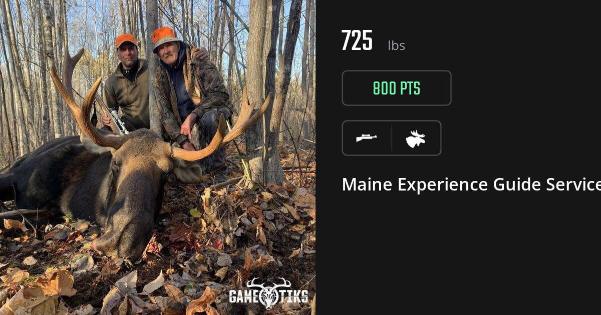 Moose harvest on Gametiks