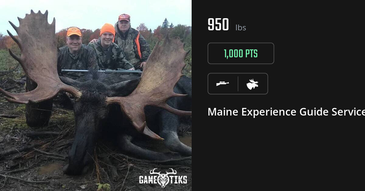 Moose harvest on Gametiks