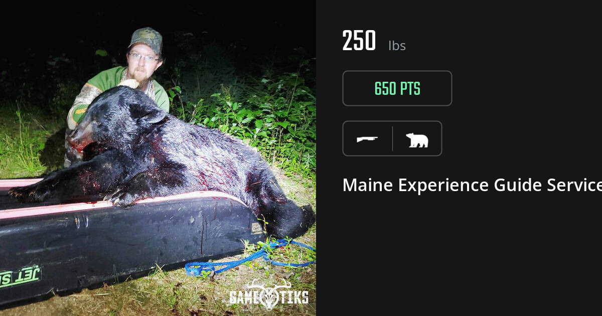 Bear harvest on Gametiks