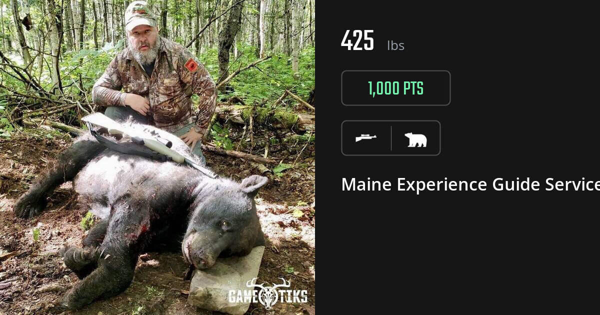 Bear harvest on Gametiks