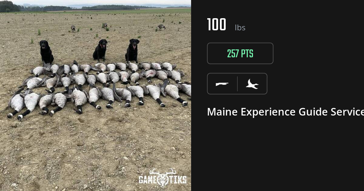 Waterfowl harvest on Gametiks