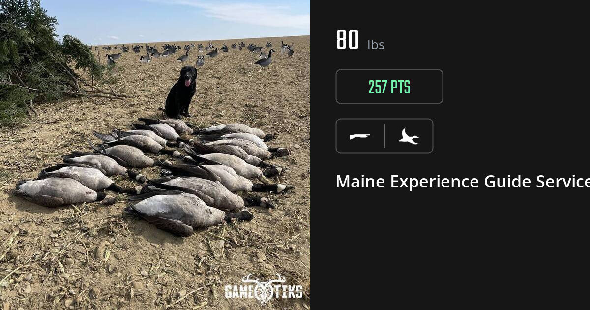 Waterfowl harvest on Gametiks