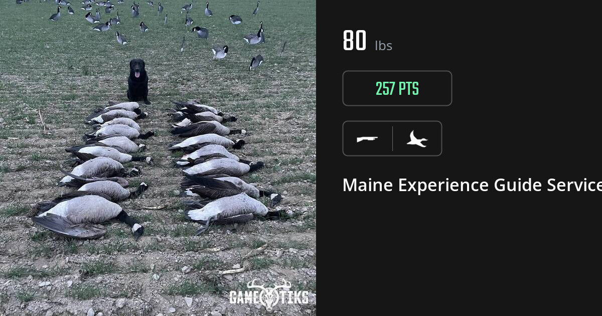 Waterfowl harvest on Gametiks