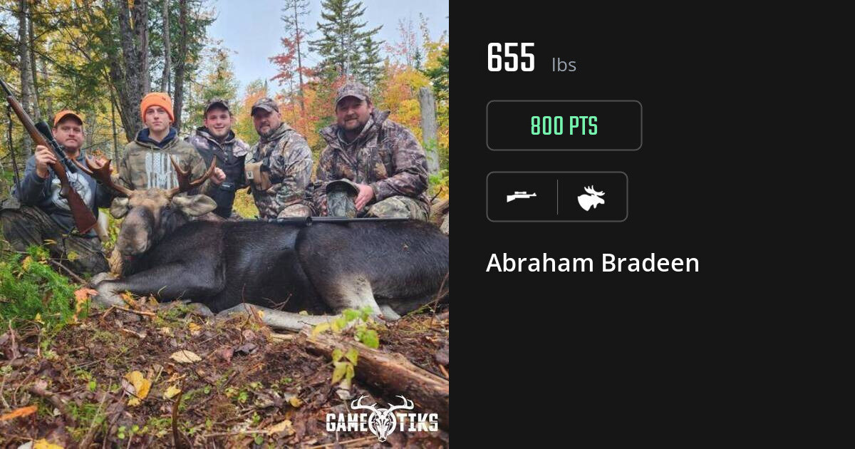 moose harvest by Abraham Bradeen