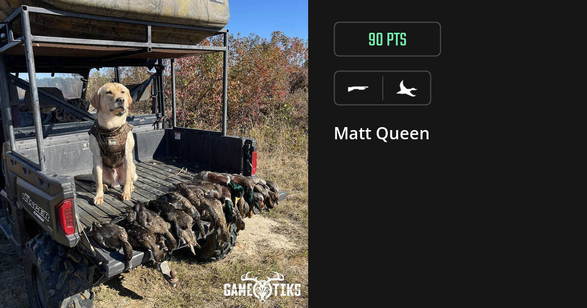waterfowl harvest by Matt Queen