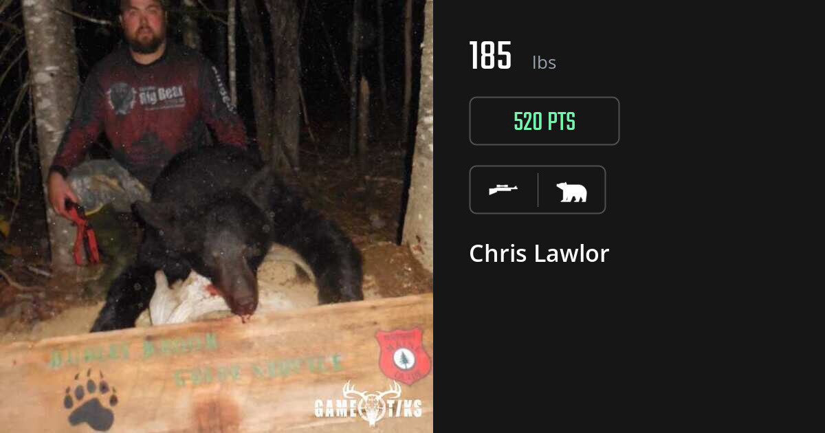 bear harvest by Chris Lawlor
