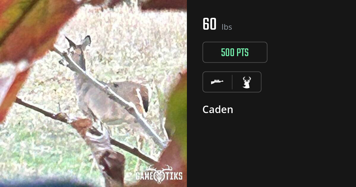 deer harvest by Caden