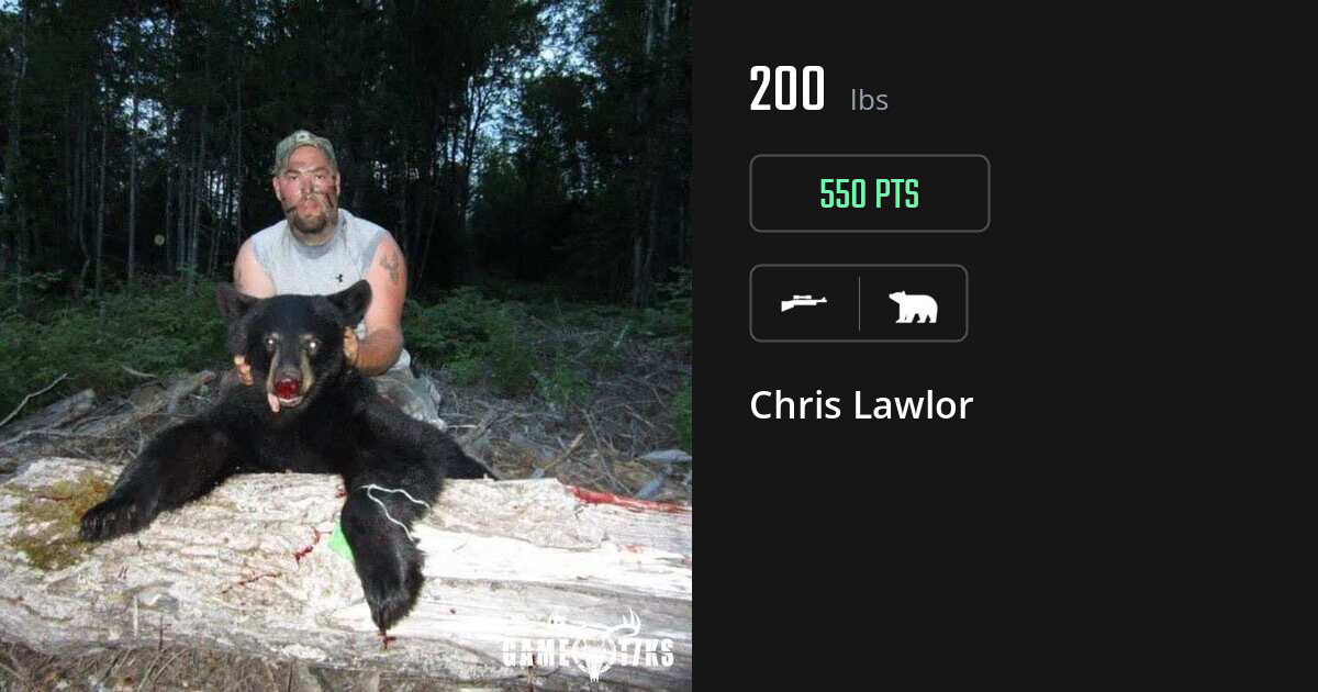 bear harvest by Chris Lawlor