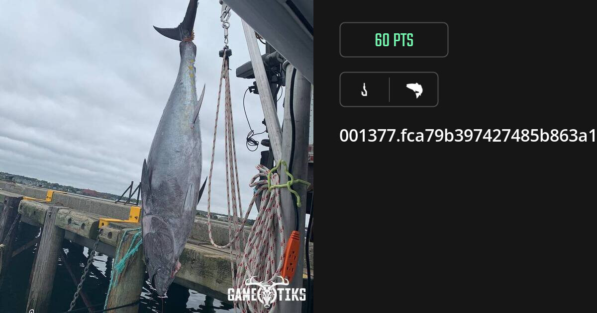 saltwater_fish harvest by Swift-Meadow-2257