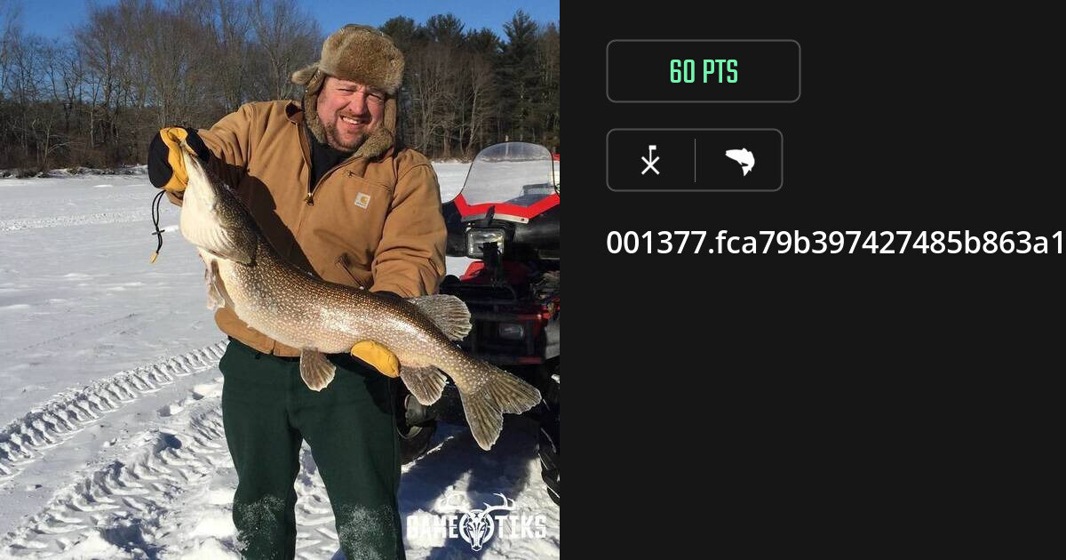 Saltwater fish harvest on Gametiks