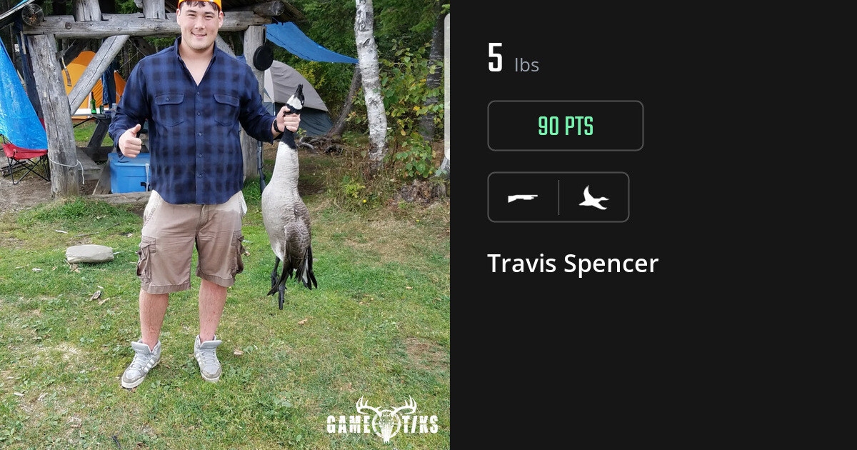 Waterfowl harvest on Gametiks
