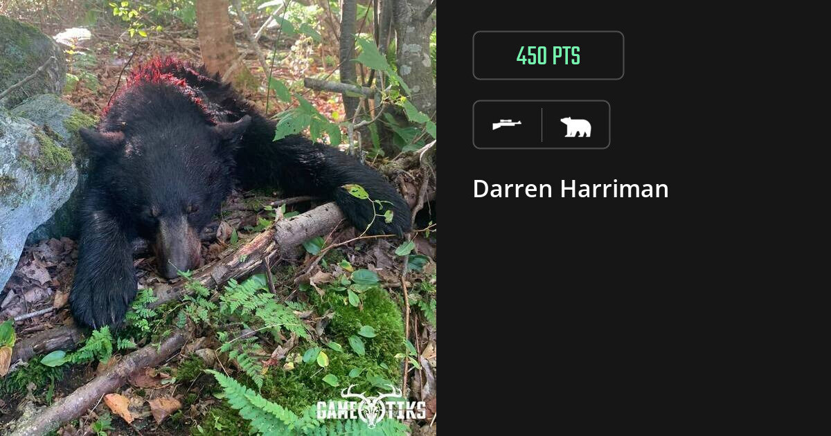 Bear harvest on Gametiks