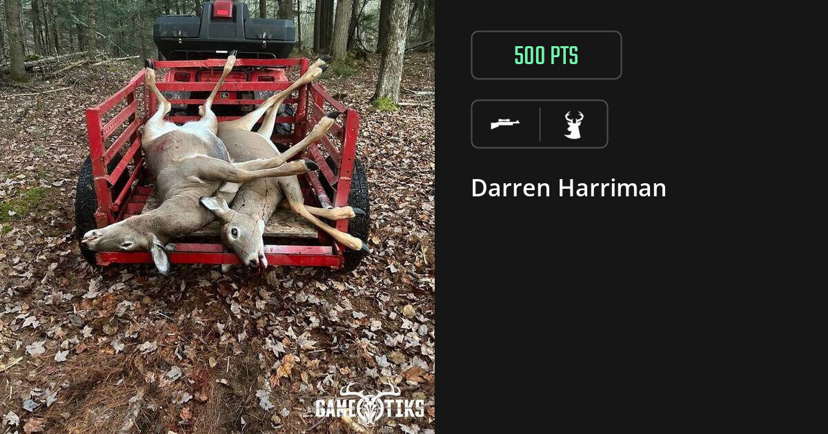 deer harvest by Darren Harriman