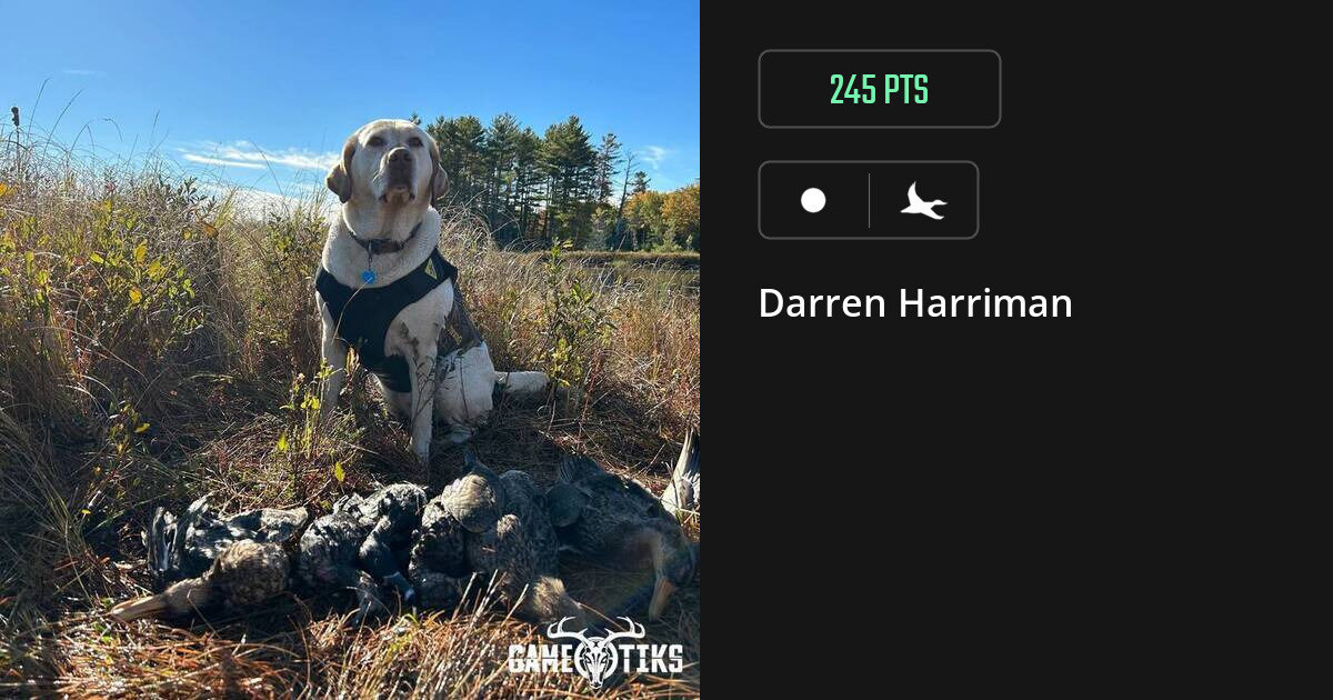 waterfowl harvest by Darren Harriman