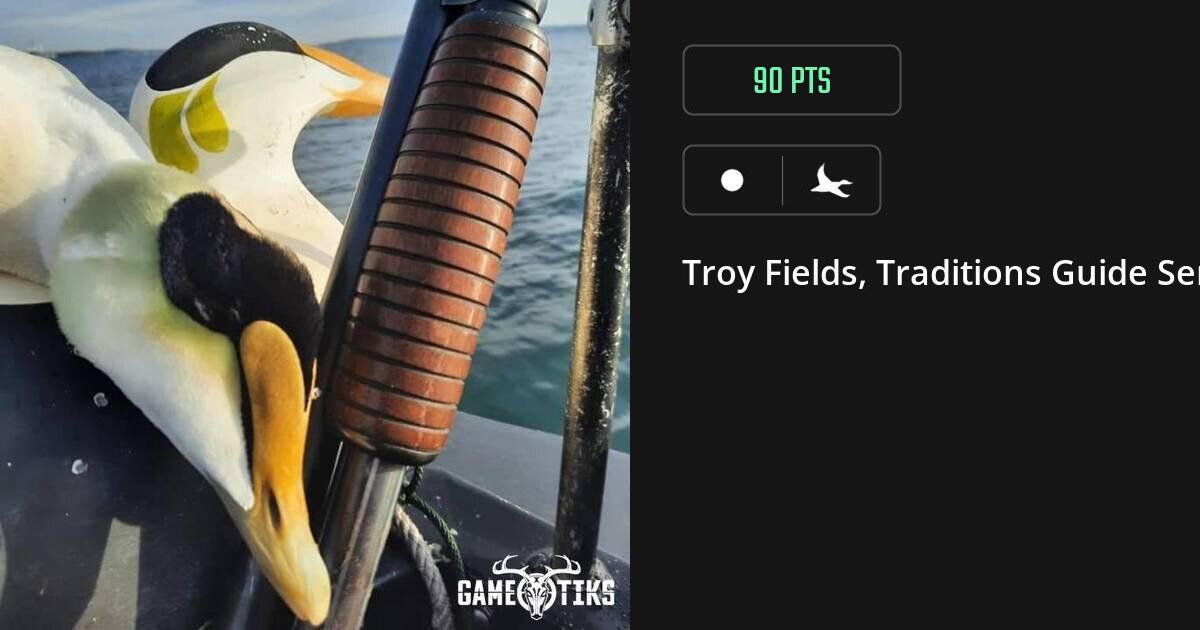 waterfowl harvest by Troy Fields, Traditions Guide Service