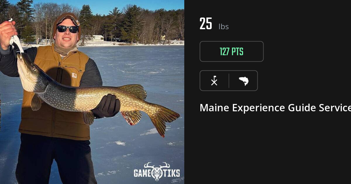 Saltwater fish harvest on Gametiks
