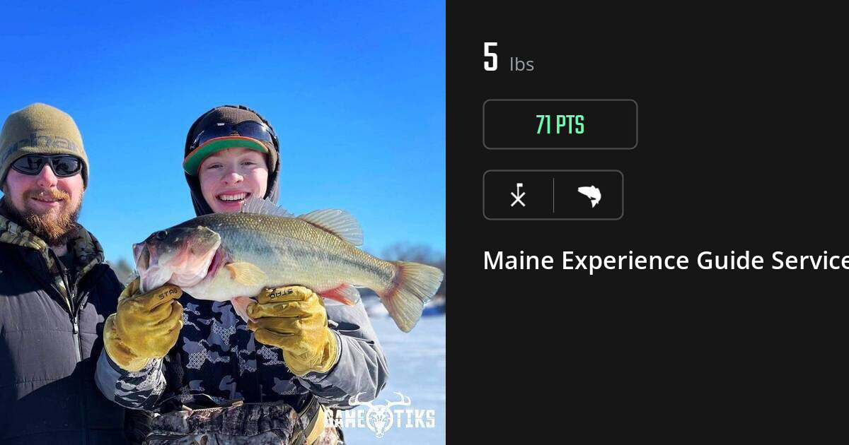 Saltwater fish harvest on Gametiks