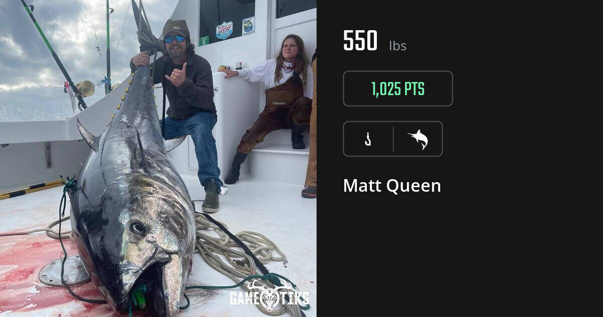 trophy_fish harvest by Matt Queen