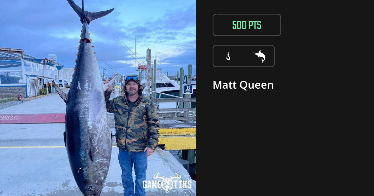 trophy_fish harvest by Matt Queen