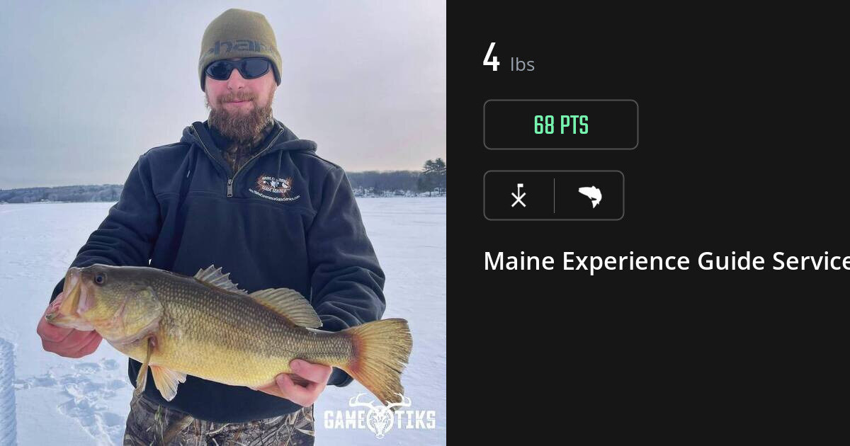 Saltwater fish harvest on Gametiks