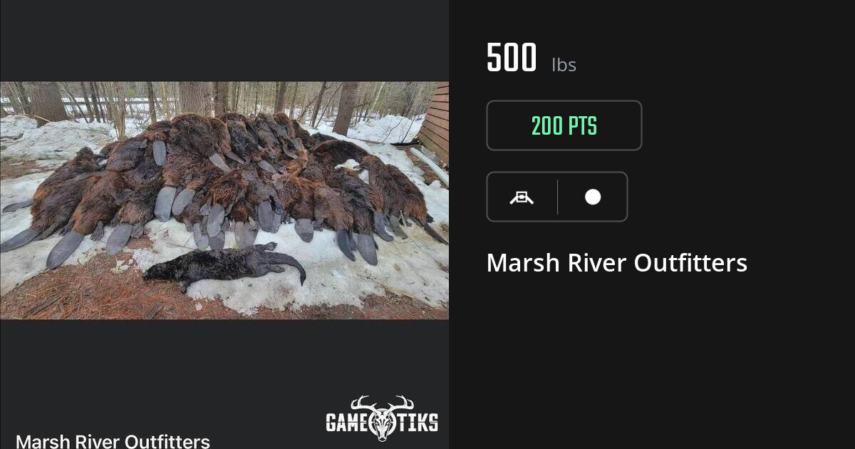 Miscellaneous harvest on Gametiks