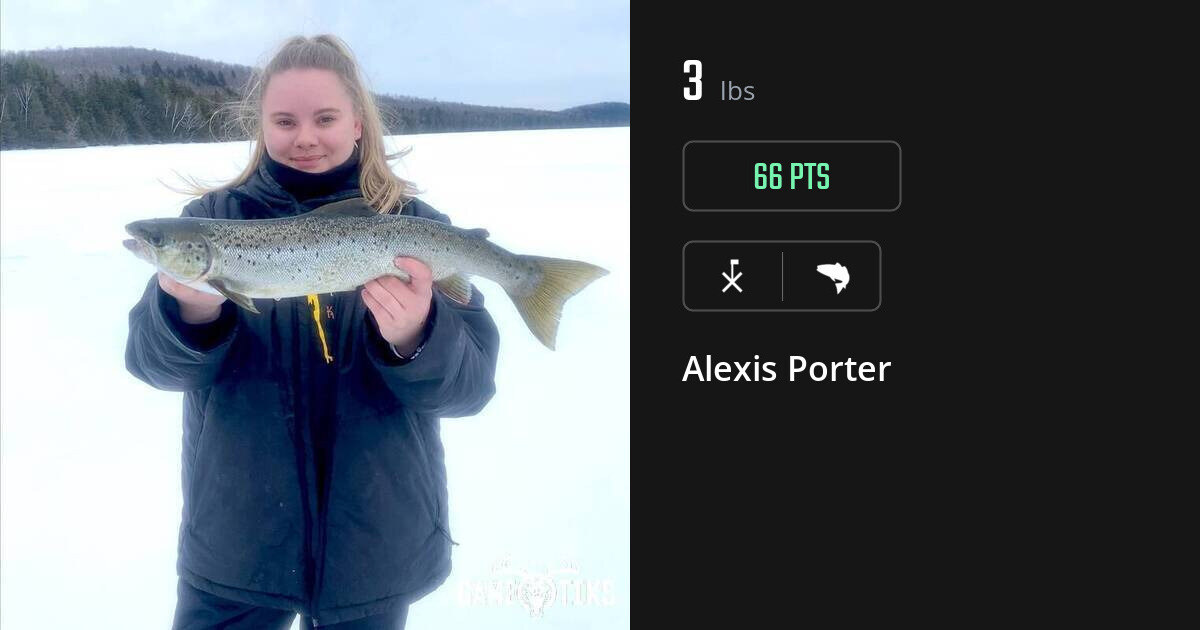 saltwater_fish harvest by Alexis Porter