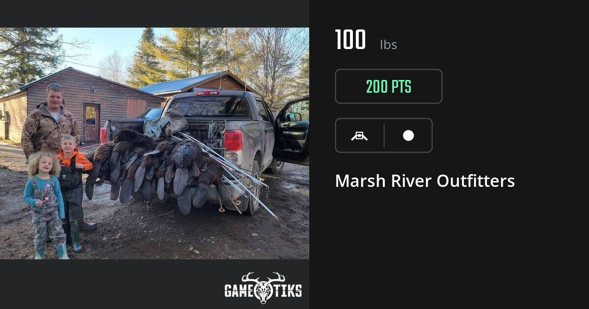 Miscellaneous harvest on Gametiks