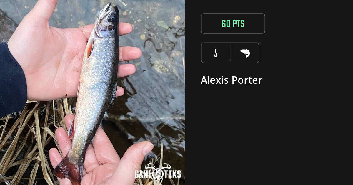 saltwater_fish harvest by Alexis Porter