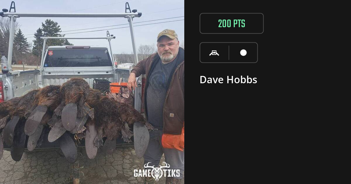 miscellaneous harvest by Dave Hobbs