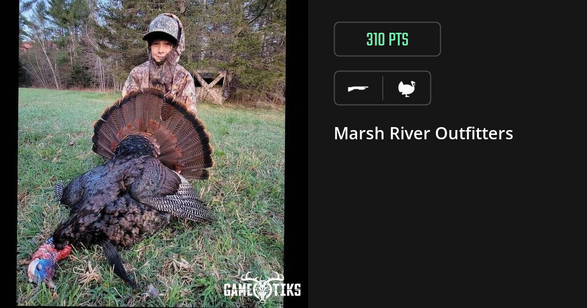Turkey harvest on Gametiks