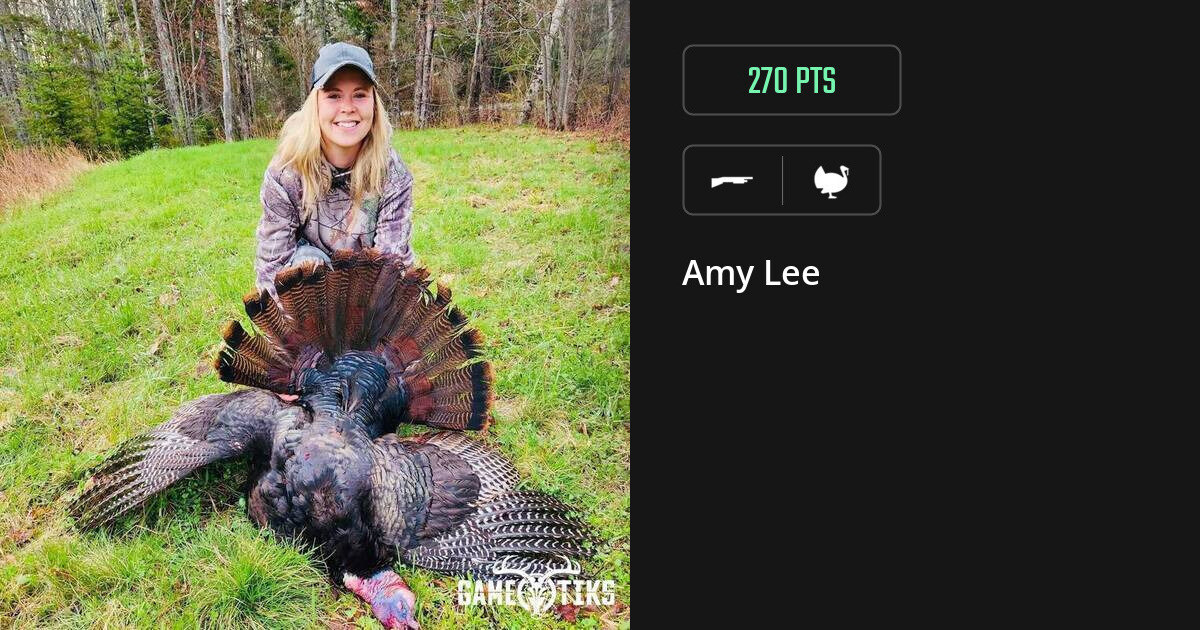 turkey harvest by Amy Lee