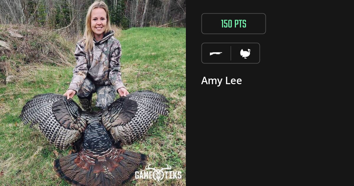 turkey harvest by Amy Lee