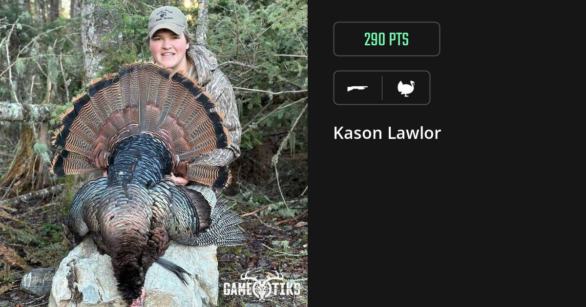turkey harvest by Kason Lawlor