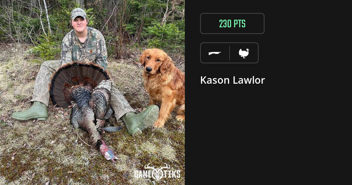 Turkey harvest on Gametiks