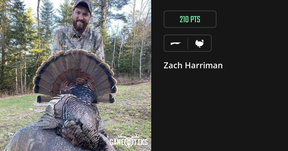 Turkey harvest on Gametiks