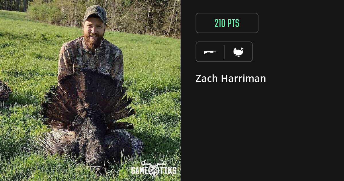 Turkey harvest on Gametiks